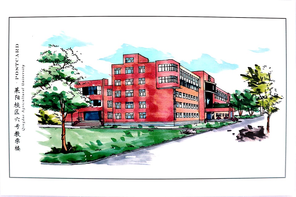 创作手绘明信片展青岛农业大学美丽风光